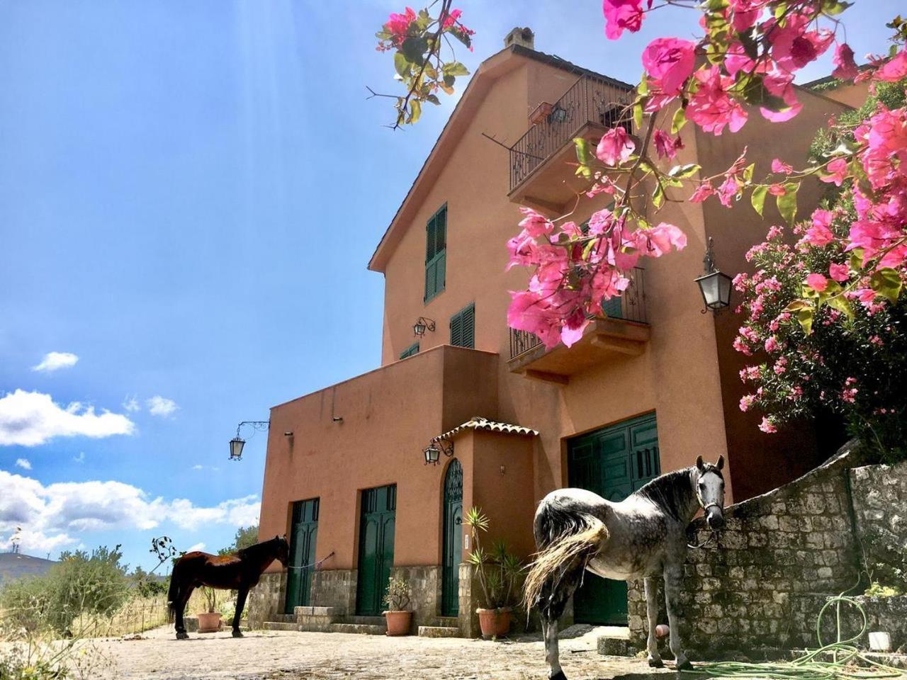 Country Room Sicily - Agrigentoholidays Exterior photo